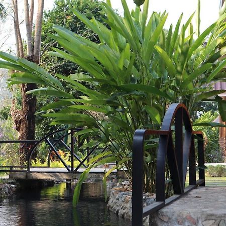 In My Dream Resort Ban Huai Maenam Noi Dış mekan fotoğraf