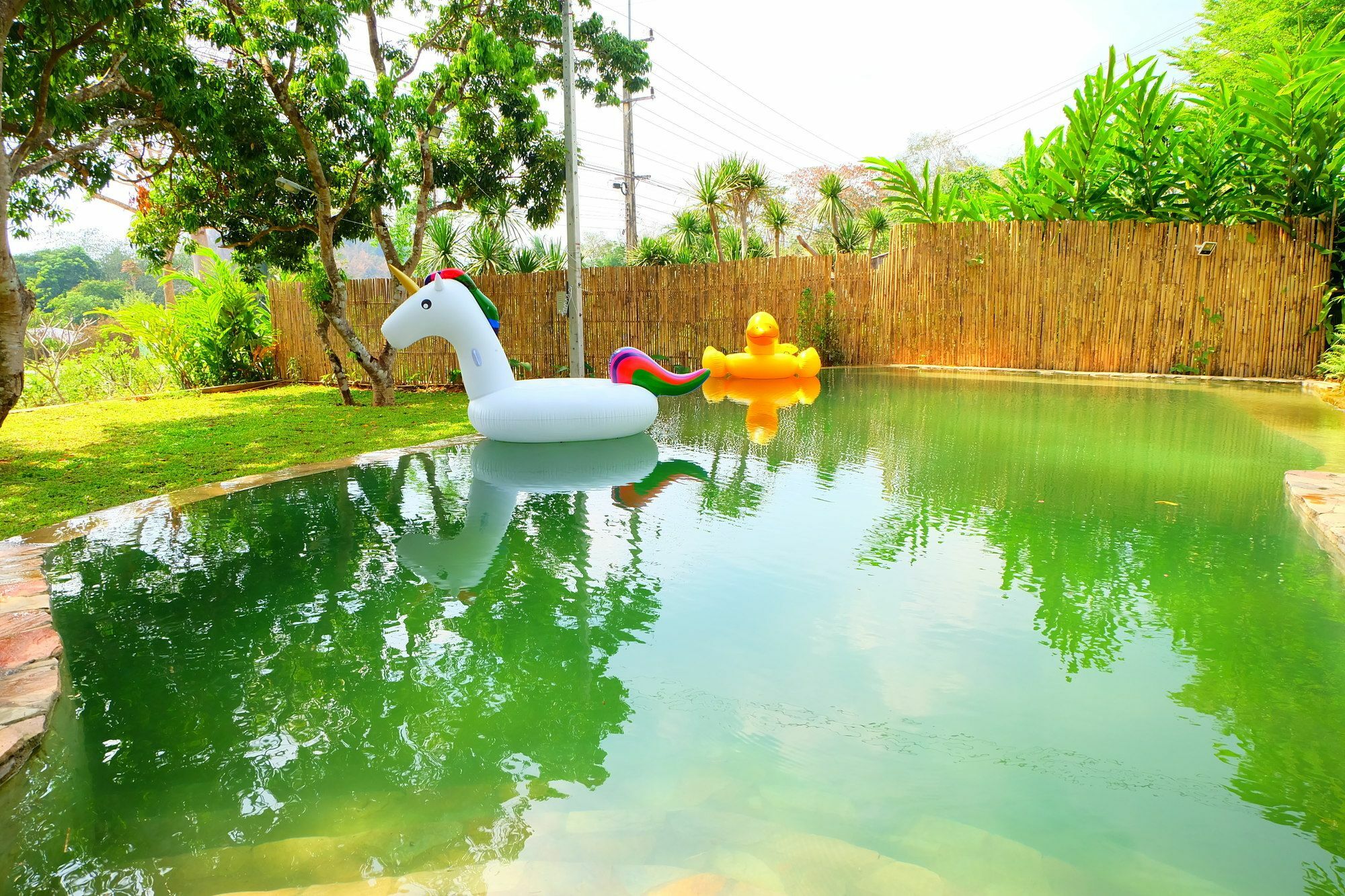 In My Dream Resort Ban Huai Maenam Noi Dış mekan fotoğraf