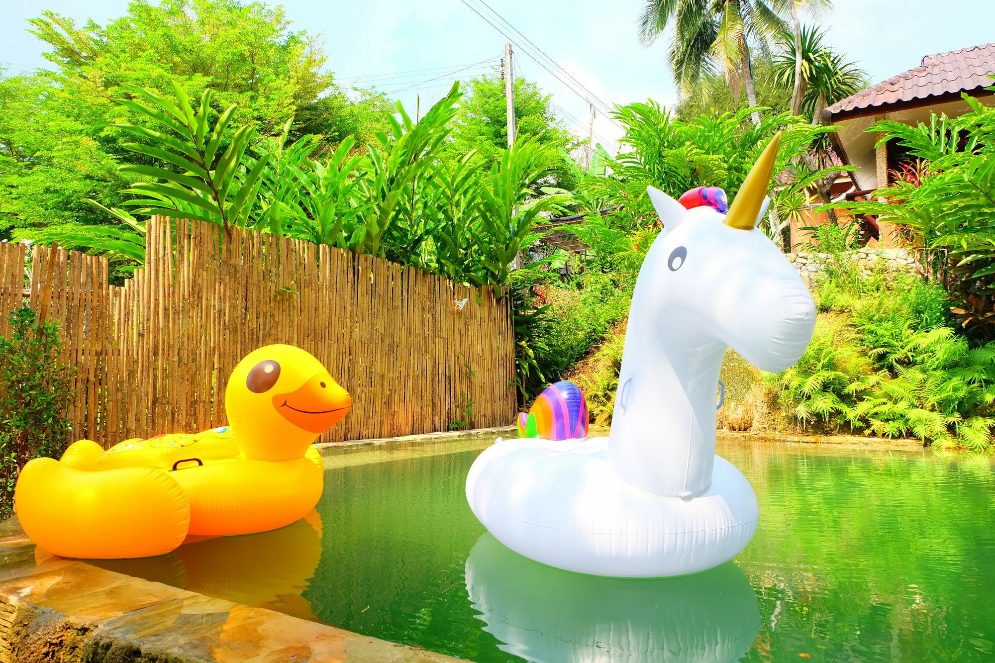 In My Dream Resort Ban Huai Maenam Noi Dış mekan fotoğraf
